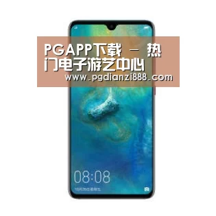 华为无线快充手机