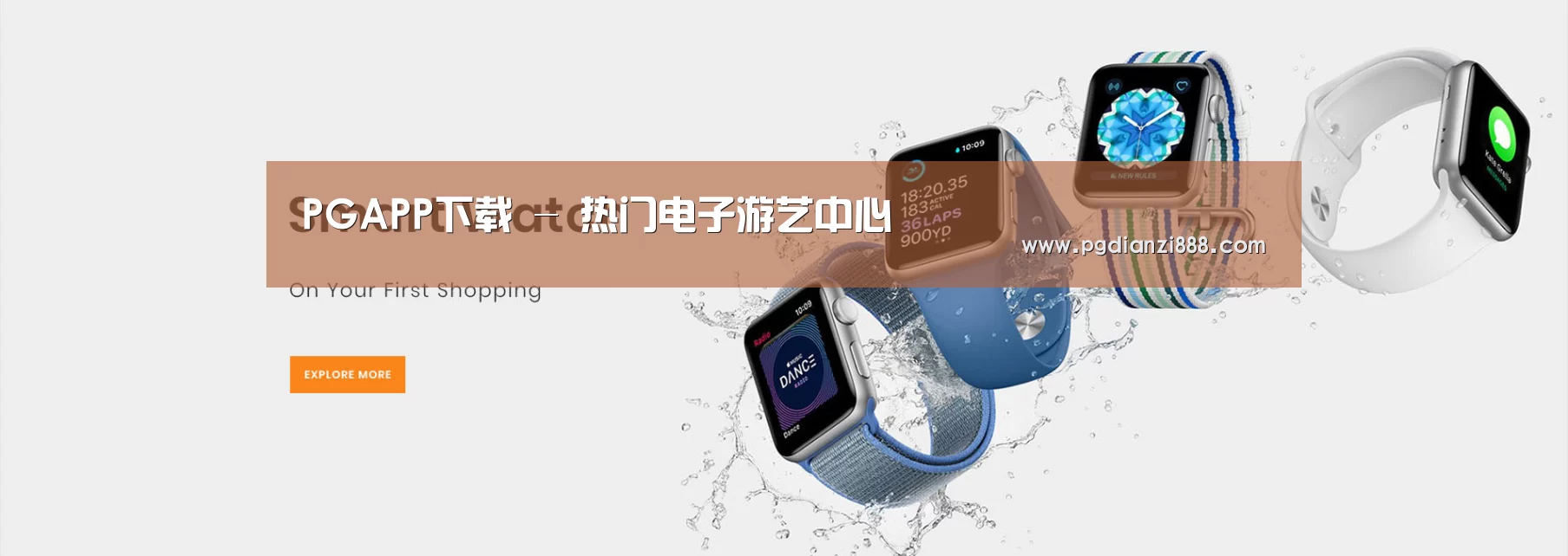 某某网络科技有限公司
