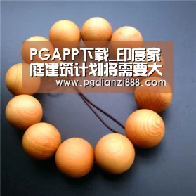 PG电子官方网站